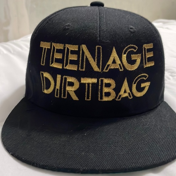 Unisex adjustable SnapBack teenage dirtbag hat. - Picture 2 of 6